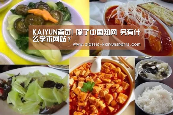 KAIYUN首页|
除了中国知网 另有什么学术网站？